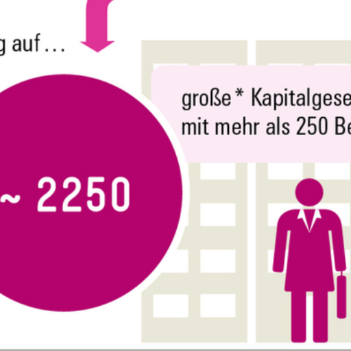 Mehr Quote wagen - Böckler Impuls 4/2018