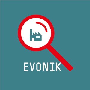 Icon Portrait Evonik