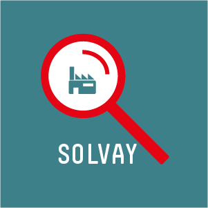 Icon Portrait Solvaiy