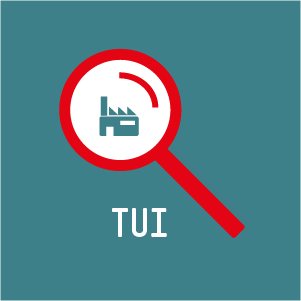 Icon Portrait TUI