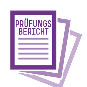 ICON Prüfungsbericht - © 