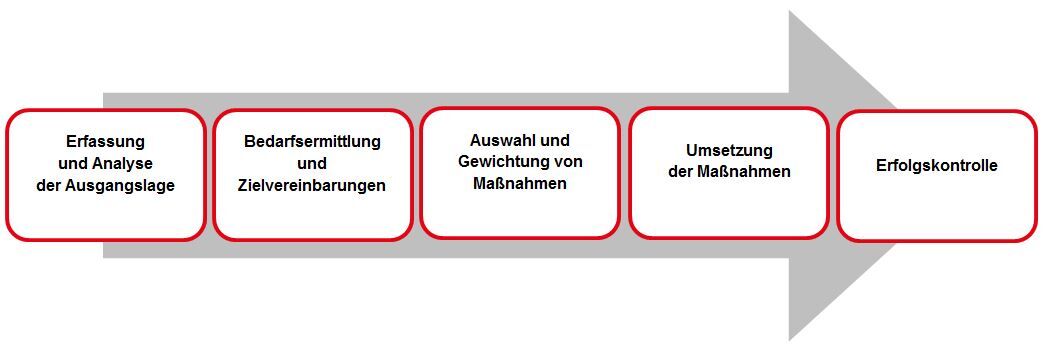 Schritte des Wissensmanagement - © Forschungsgesellschaft für Gerontologie e. V., 2013