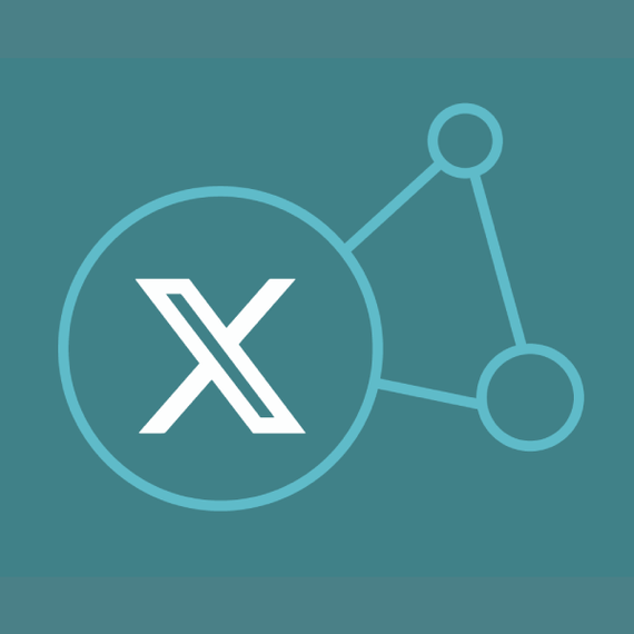 X (Twitter)